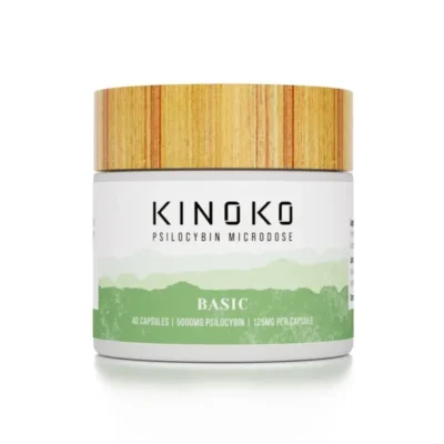 kinoko-basic