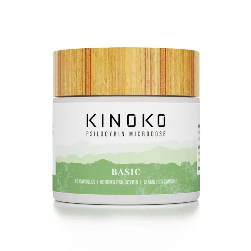kinoko-basic kinoko-basic