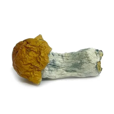 buy bluepalowski