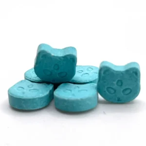 blue-cat