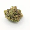 gas-monkey