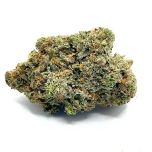 gucci-pink-aaaa-1