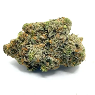 gucci-pink-aaaa-1