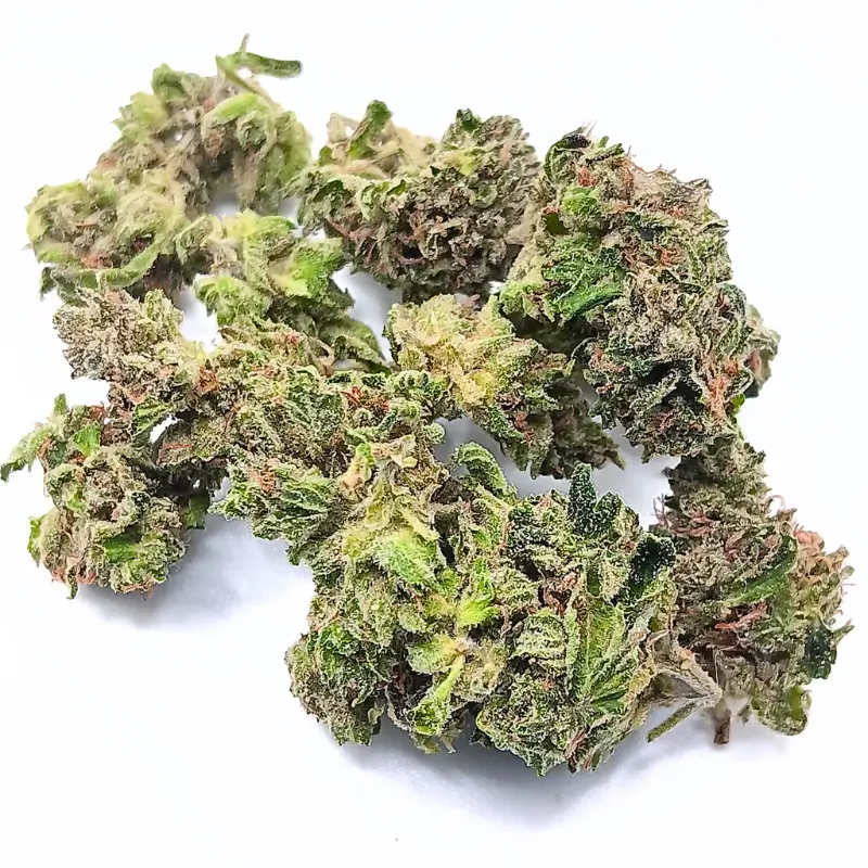 pink-bubba-1 pink-bubba-1