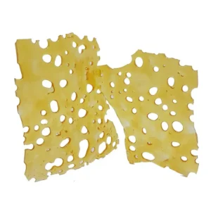 DURBANPOISONSHATTER