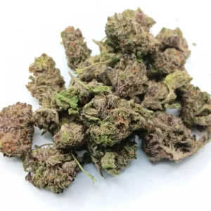 purple-sd